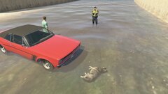 I have no idea how he hit that dog.