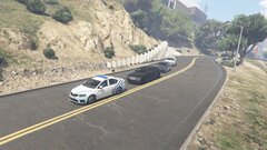 Belgian police protecting a diplomat