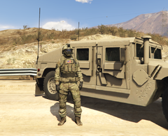 2023-04-04 13_48_08-Grand Theft Auto V.png