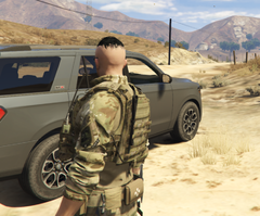 2023-04-04 13_49_47-Grand Theft Auto V.png