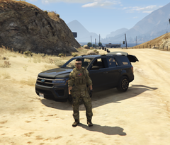 2023-04-04 13_51_00-Grand Theft Auto V.png