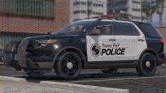 VBPD 13 FPIU