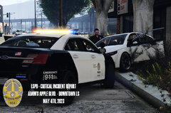 Police Activity in Downtown LS