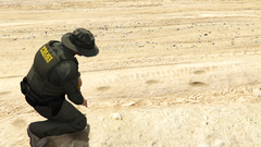 Grand Theft Auto V Screenshot 2023.06.25 - 19.58.21.20.png