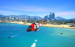 Routine Fly at the Beach