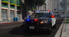 SFPD Unit 314