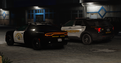 Riverside Sheriff (BCSO) 2020 FPIU
