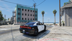 watching from afar.png