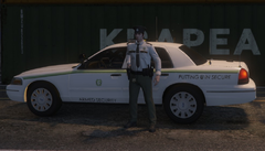 Security guard at night