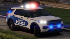 RPD 2020 FPIU - Watch Commander