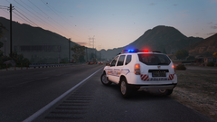 Duster Politia Rutiera