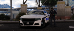 LSPD Car 207