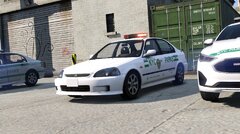 NYC Parks Police Pack