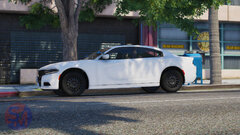 Unmarked Charger #6.jpg