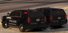 RPD Patrol and K9 Tahoe