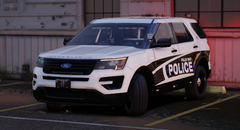 Palm Bay Police Department - 2016 Ford Police Interceptor Slicktop