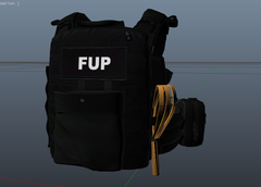 FUP2.png