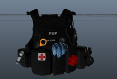 FUP9.png