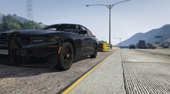 18 Charger - Traffic Enforcement.jpg