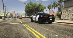 18 Charger.jpg