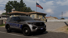 fly that flag brother