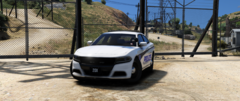 LSPD Car 20X