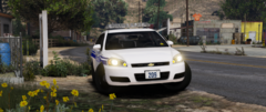 LSPD Car 209