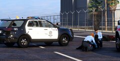 LSPD & EMS