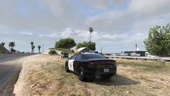 watching the road.png