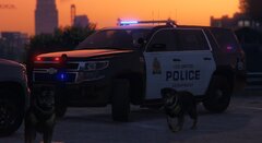 K9 Unit LSPD