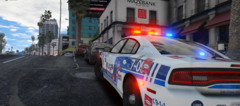 2015 SPVM Charger