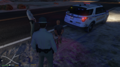 Traffic Stop - Arrest
