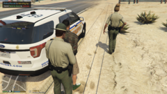 Traffic Stop - Warrant on Arrest