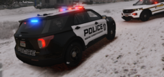lspdfrup3.PNG