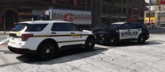 lspdfrup4.PNG