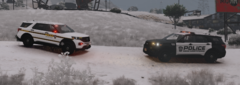 updatelspdfr.PNG