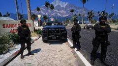 Undercover Operation