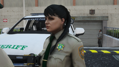 Grand Theft Auto V Screenshot 2024.01.02 - 02.11.59.82.png