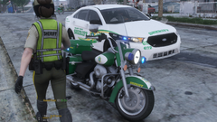 Grand Theft Auto V Screenshot 2024.01.04 - 18.51.06.77.png