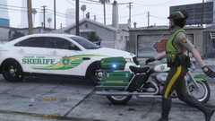 Grand Theft Auto V Screenshot 2024.01.04 - 18.51.38.29.png