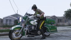 Grand Theft Auto V Screenshot 2024.01.04 - 18.53.26.64.png