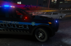 VPD AT ACCIDENT SCENE 3.png