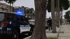 SPVM Cinematic Traffic Stop