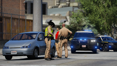 FHP O/S of Ped vs. Vehicle