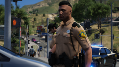 FHP O/S of Ped vs. Vehicle