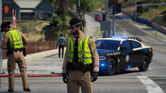 FHP O/S of Ped vs. Vehicle