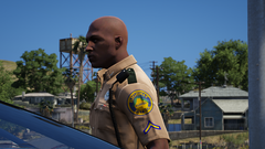 FHP O/S of Ped vs. Vehicle