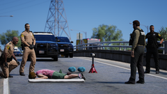 FHP O/S of Ped vs. Vehicle