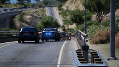 FHP O/S of Ped vs. Vehicle