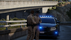 FHP Patrol Troopers